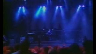 INXS  Rocking The Royals 2 of 6 [upl. by Eiduam]