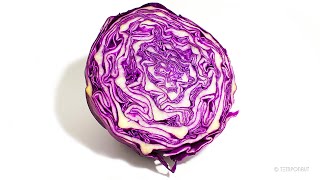 Red Cabbage Timelapse [upl. by Serdna]