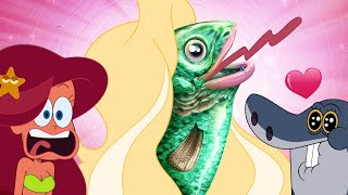 Zig amp Sharko  THE SIRENS S03E30 New Episodes in HD [upl. by Losse]