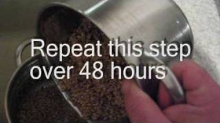 How to make malted barley [upl. by Ssidnak]