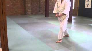 Aikido Tai Sabaki  Footwork Practice [upl. by Kaleena]