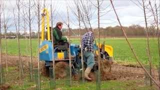 Bomen rooien bij boomkwekerij HJ van Dee [upl. by Anairad154]