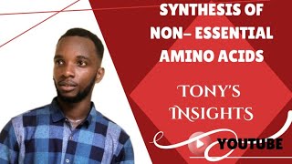 Synthesis of nonessential amino acids [upl. by Navonod915]