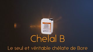 Chelal B [upl. by Winni]