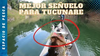 El mejor señuelo para la pesca de tucunare o pavon que he probado en Amani de Joseluisfly [upl. by Karb]