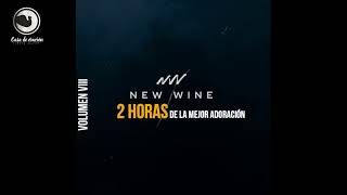 ADORACION EN VIVO NEW WINE 2 HORAS DE ADORACION [upl. by Rysler737]