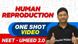 HUMAN REPRODUCTION in 1 Shot  All Theory amp PYQs  NEET Crash Course  UMEED 20 [upl. by Ramos]