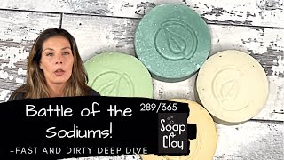 Sodium Citrate vs Sodium Lactate and how to use both in soap  Day 289365 [upl. by Ellirpa228]