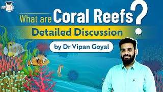 Whats Killing The Coral Reefs [upl. by Wilton]