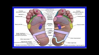 Réflexologie plantaire 7 points d’acupression pour réduire le stress et stimuler le métabolisme [upl. by Ellahcim]