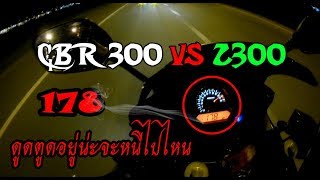 CBR300 VS Z300 V3 [upl. by Yerak583]