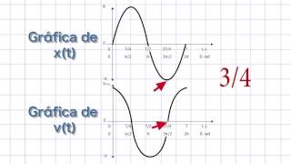 Gráficas Movimiento Armónico simple [upl. by Assiluj563]