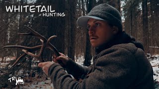 Early November Whitetail Deer Hunting BC 2024 [upl. by Znarf807]