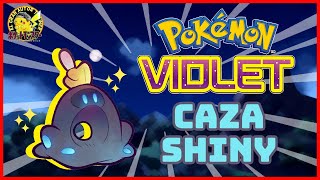 👻✨DIRECTO BUSCANDO A SANDYGAST SHINY EN POKÉMON PÚRPURA  Gran Autor [upl. by Arrait]