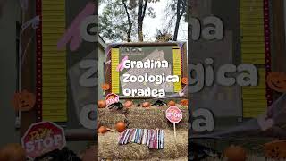 Gradina Zoologica Oradea [upl. by Eirollam]