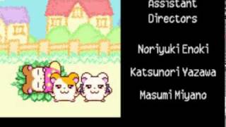 Lets Play Hamtaro HamHam Heartbreak 33  Super Credits [upl. by Ettelorahc]