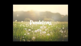 Dandelions  Ruth B [upl. by Kylila]