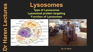 LysosomesTypes Lysosomal protein targeting and Function of lysosomes [upl. by Filbert]