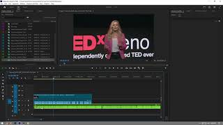 How To Add Background Music in Premiere Pro 2024 [upl. by Eiuqram]