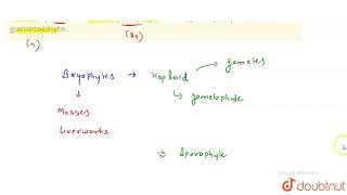 Name aplant where the sporophyte is completely dependent on gametophyte  11  PLANT KINGDOM [upl. by Oberg139]