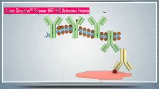 Immunohistochemistry IHC amp AntigenEpitope Protein Retrieval  Principle Technique and Protocol [upl. by Rechaba587]