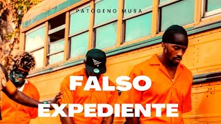 Patogeno Musa  Falso Expediente  Audio Oficial [upl. by Adnwahsat]