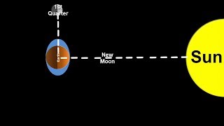 Space Science Tutorial Spring and Neap Tides [upl. by Car]