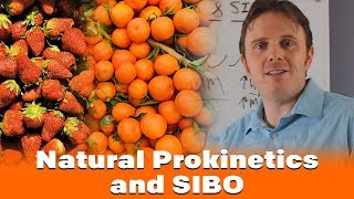 Natural Prokinetics and SIBO [upl. by Esinart]