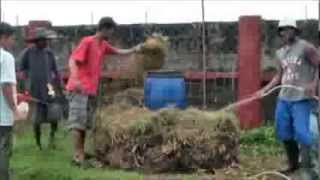 Part 1 Composting the fast and easy way in English and Tagalog [upl. by Yeldnarb]