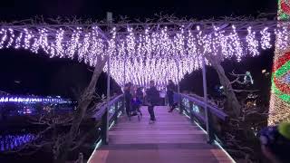 Ashikaga Flower Park Illumination [upl. by Anayrb113]