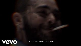 Post Malone  Insane Official Lyric Video [upl. by Eceinhoj]