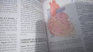 Rhythmical Excitation Of heart Chpter10 Guyton Physiology  Guidlines MBBS amp BDS 1styear [upl. by Oecam]