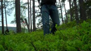 3D traditional archery near Drammen Norway take I [upl. by Nitaf]