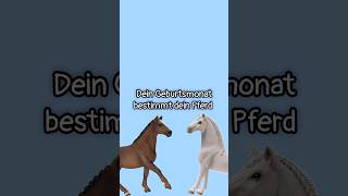 Dein Geburtsmonat bestimmt dein Schleich Pferd 🐴🩷 Welches habt ihr 🤔 schleich ytshorts pferde [upl. by Merat]