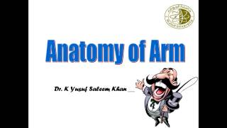 Anatomy of the ARM  Lecture  Dr Yusuf [upl. by Aikemet]