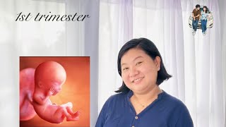 My 1st Trimester [upl. by Rofotsirk]