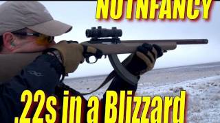 Tactical Solutions 22 Testing in Snow Pt 4 by Nutnfancy [upl. by Abil]