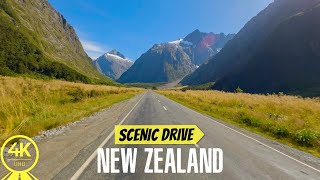 A journey you never forget  What to see in the South Island part 1  New Zealand  Milford Sound [upl. by Hallimaj]