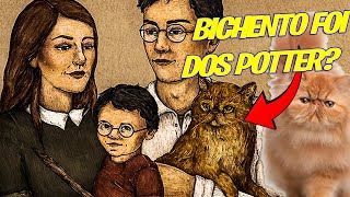 O BICHENTO NA VERDADE ERA DA FAMILIA DOS POTTER  ANALISANDO TERORIAS [upl. by Richard]