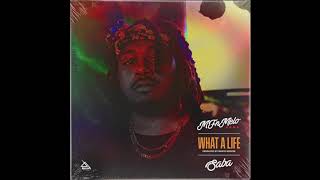 MFnMelo  quotWhat A Lifequot feat Saba Prod Monte Booker Official Audio [upl. by Ymmat]