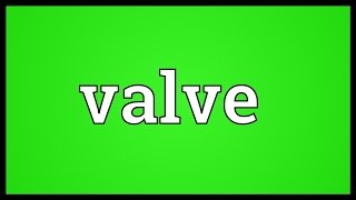 Valve Meaning [upl. by Tomasina]