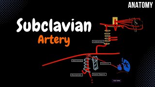 Subclavian Artery  Branches Mnemonics [upl. by Garcon]