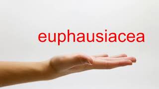 How to Pronounce euphausiacea  American English [upl. by Eiramanig]