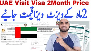 UAE Visit Visa 2 Month priceHow apply 60 days Visit visa dubai Price 60 days uae visit visa [upl. by Eltsirk459]