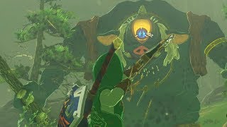 How to get 999 Arrows Infinite Arrow Farming Trick  Zelda BOTW [upl. by Eerahc]