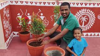 Warli Painting Terrace Transformation Walls to Worthy Place [upl. by Ennaear]