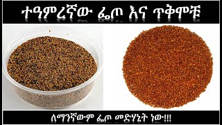 የፌጦ ጥቅሞች  Benefits of Garden Cress  Seed [upl. by Efram]