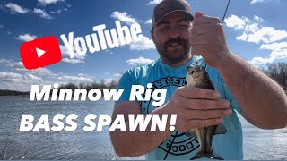 How to Fish a Minnow Jig Head [upl. by Lehsar]