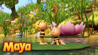 MAYA y WILLY SE VAN DE EXCURSIÓN🌞🐝🌿 MEJORES CAPÍTULOS DE MAYA para niños en ESPAÑOL 🐝 [upl. by Alrad]