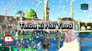 Taiba ki Hai Yaad Most beautiful Naat ❤️ [upl. by Dnomsad]